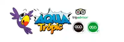 aqua-tropic.com